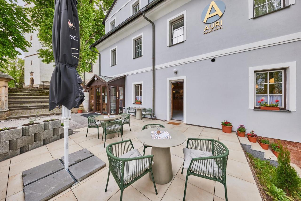 Rudník Hotel Auri מראה חיצוני תמונה