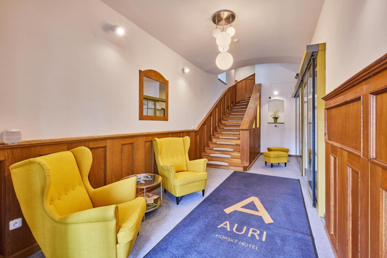 Rudník Hotel Auri מראה חיצוני תמונה