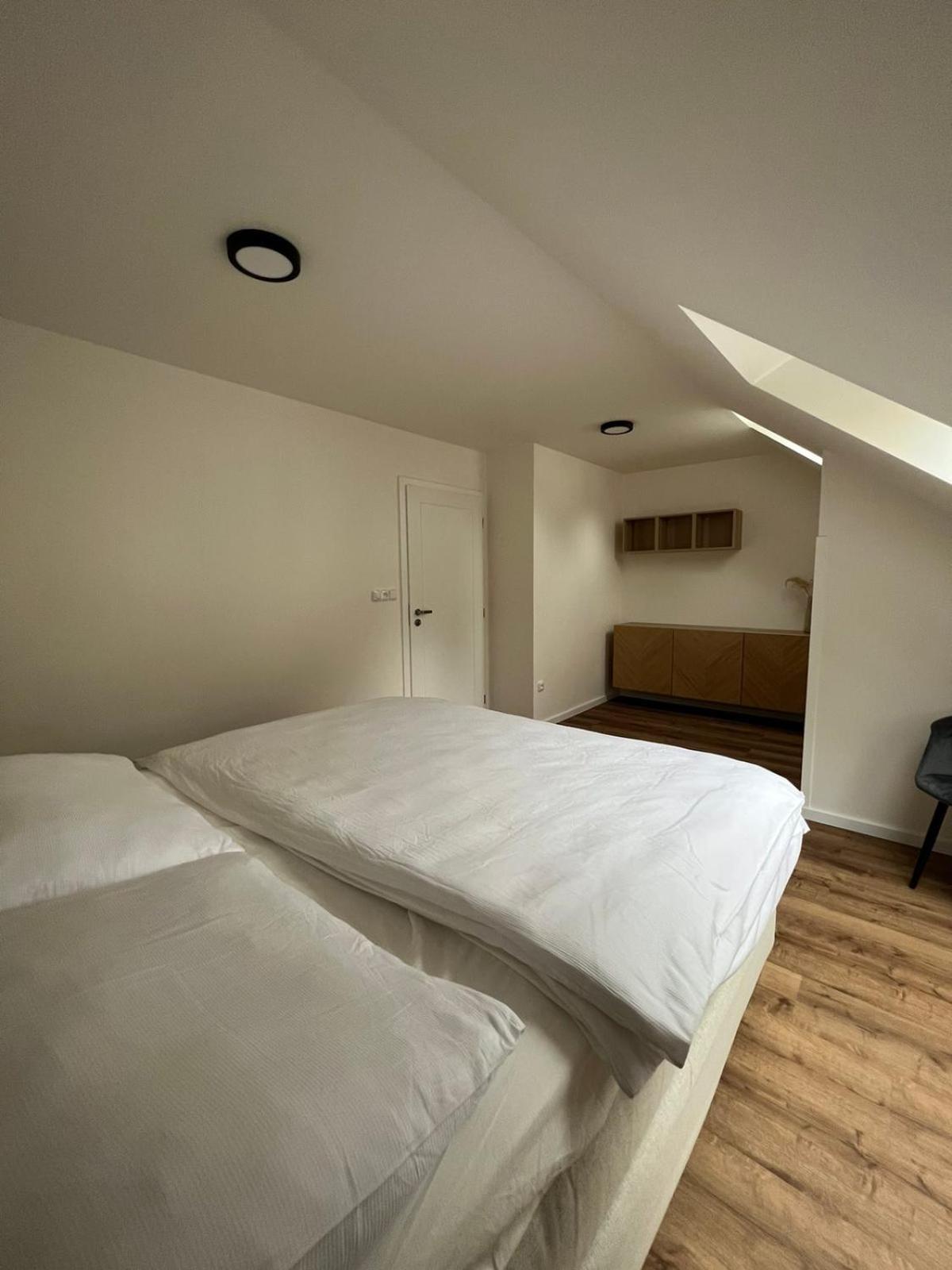 Rudník Hotel Auri מראה חיצוני תמונה