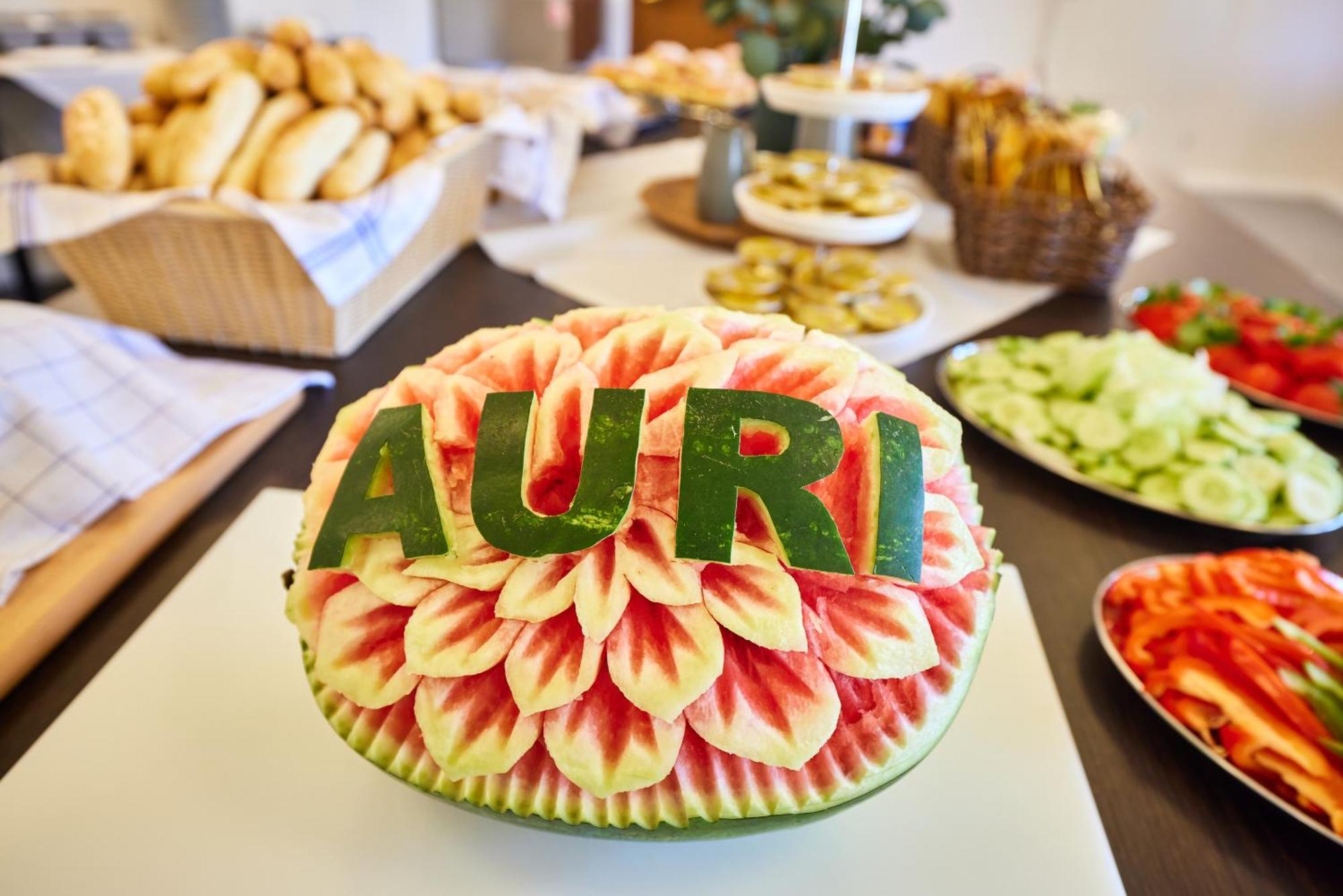 Rudník Hotel Auri מראה חיצוני תמונה